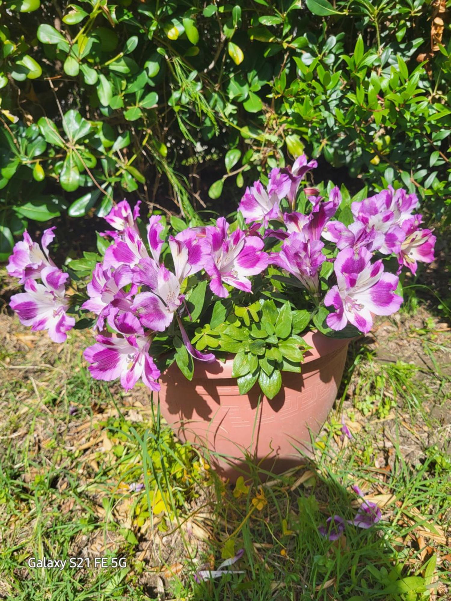 Chez Isabelle Bed & Breakfast Luri ภายนอก รูปภาพ