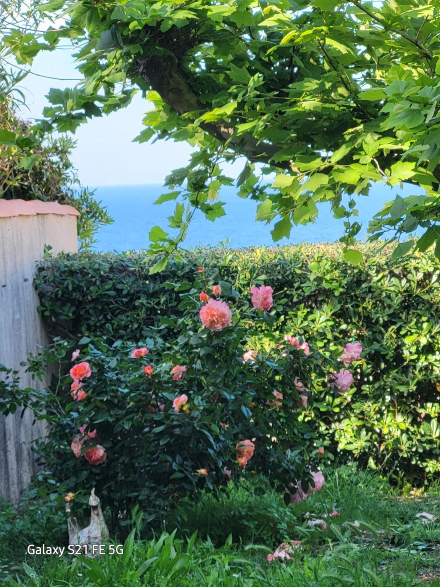 Chez Isabelle Bed & Breakfast Luri ภายนอก รูปภาพ